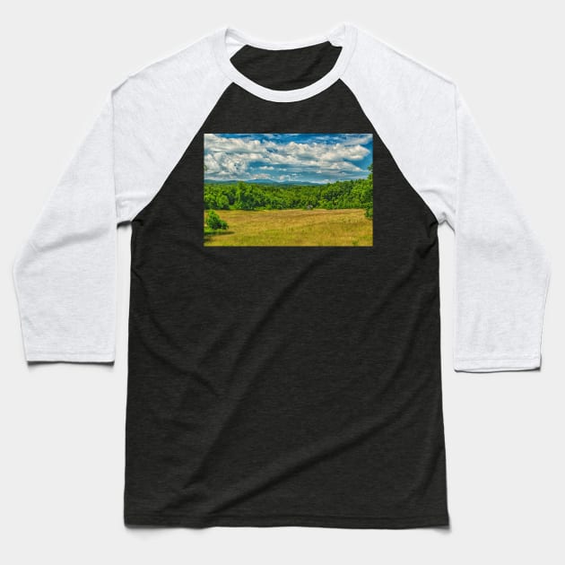 Virginia Summer Meadow Baseball T-Shirt by Gestalt Imagery